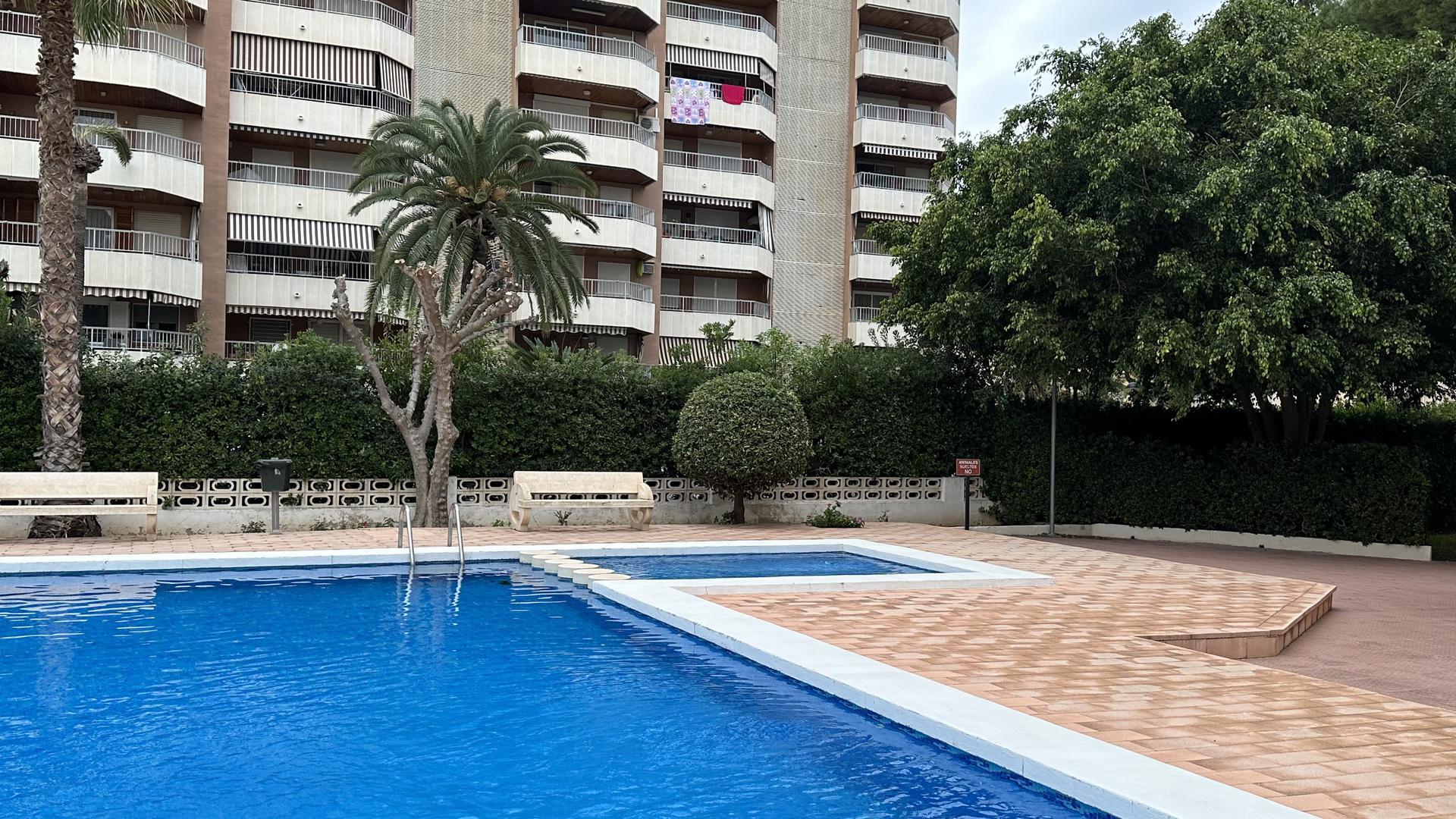 Appartement -
                              Gandia -
                              1 chambres -
                              0 occupants